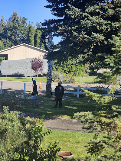 The Tree Clique team working on residential tree service in Post Falls, ID