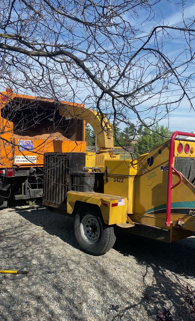 Professional wood chipper equipment used by The Tree Clique in Post Falls, ID