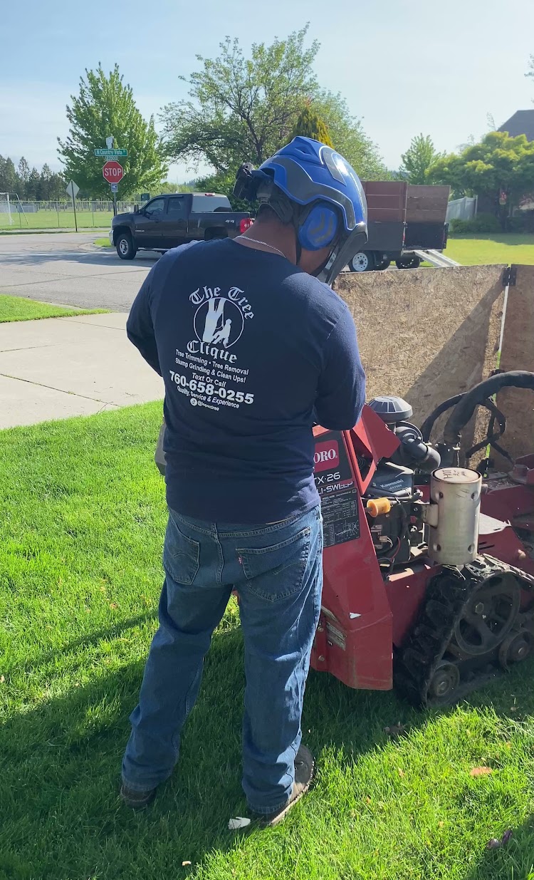 The Tree Clique team member operating stump grinder in Post Falls, ID